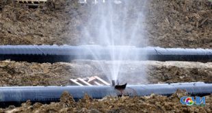 Сочинцев будут судить за незаконное подключение к сетям водоснабжения